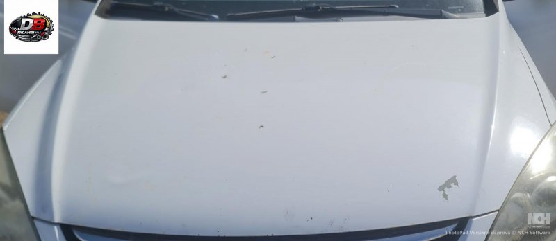 cofano-anteriore-hyundai-i30-16-d-del-2011