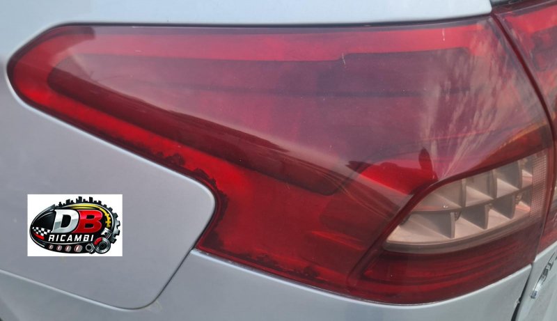 farofanale-posteriore-esterno-sx-citroen-c5-tourer-anno-2009